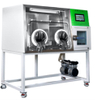 Anaerobic Incubator